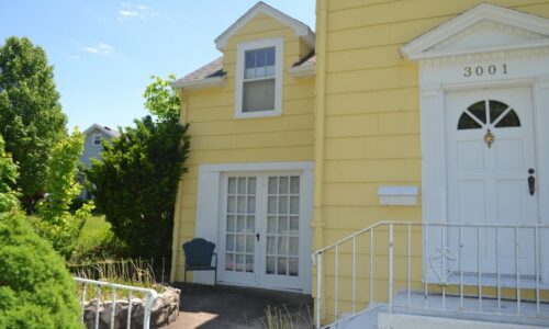 yellow-04-1030x687